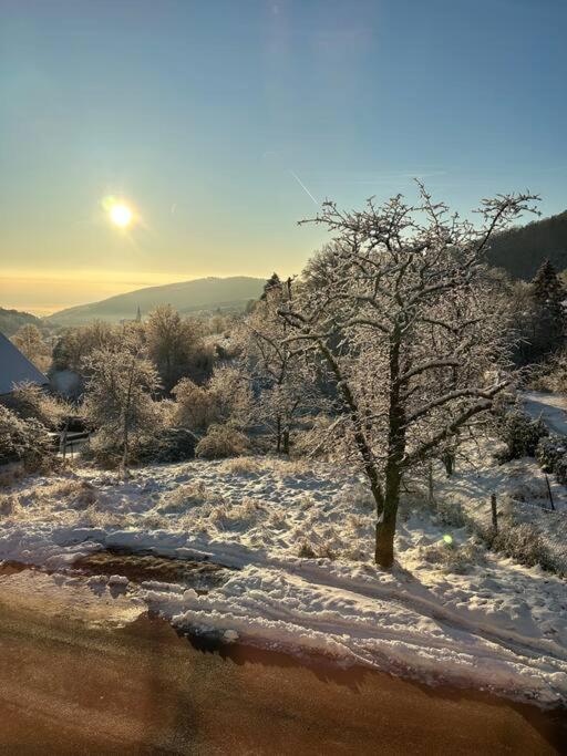 Gite Belle Vue Thannenkirch Dış mekan fotoğraf